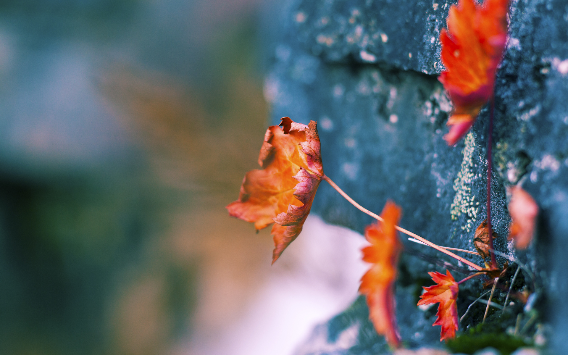 《电竞场馆布局,全国范围内百余场馆开始建造》,电竞场馆是干嘛的