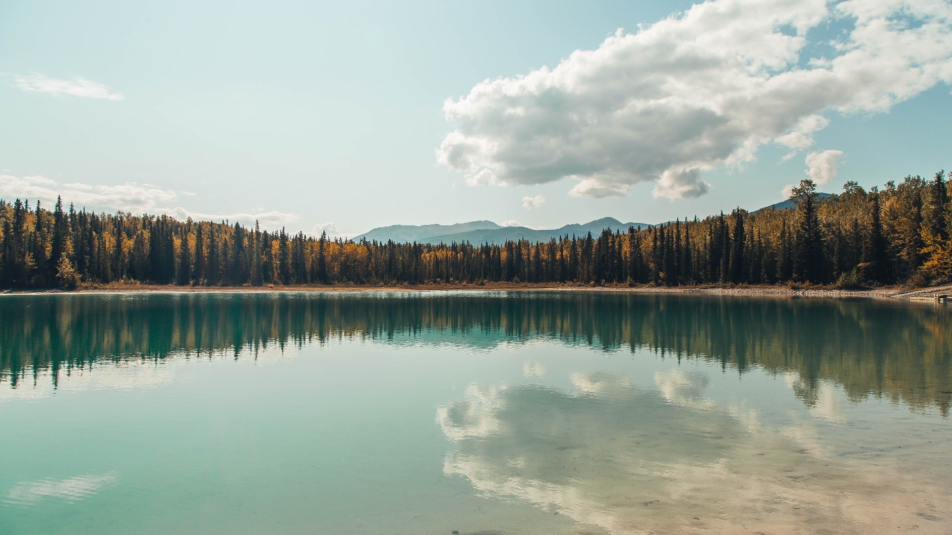 最佳配角:场上配角的闪耀时刻,最佳配角电影