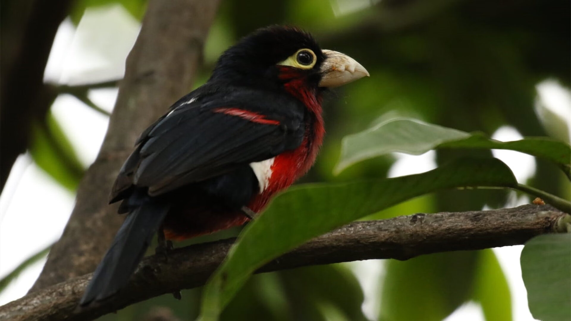 开云kaiyun-法甲新建球场收入不断提升，俱乐部财务改善，法甲十大球场