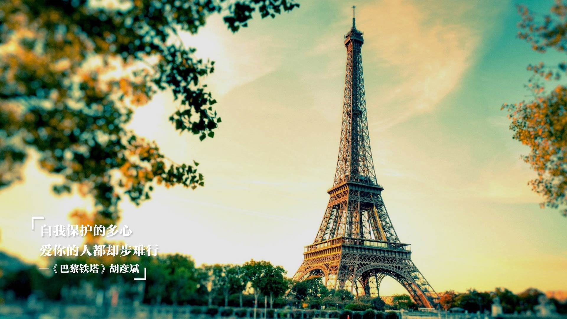 青少年篮球赛事正在成为培养团队合作精神的最佳载体,青少年篮球活动策划方案