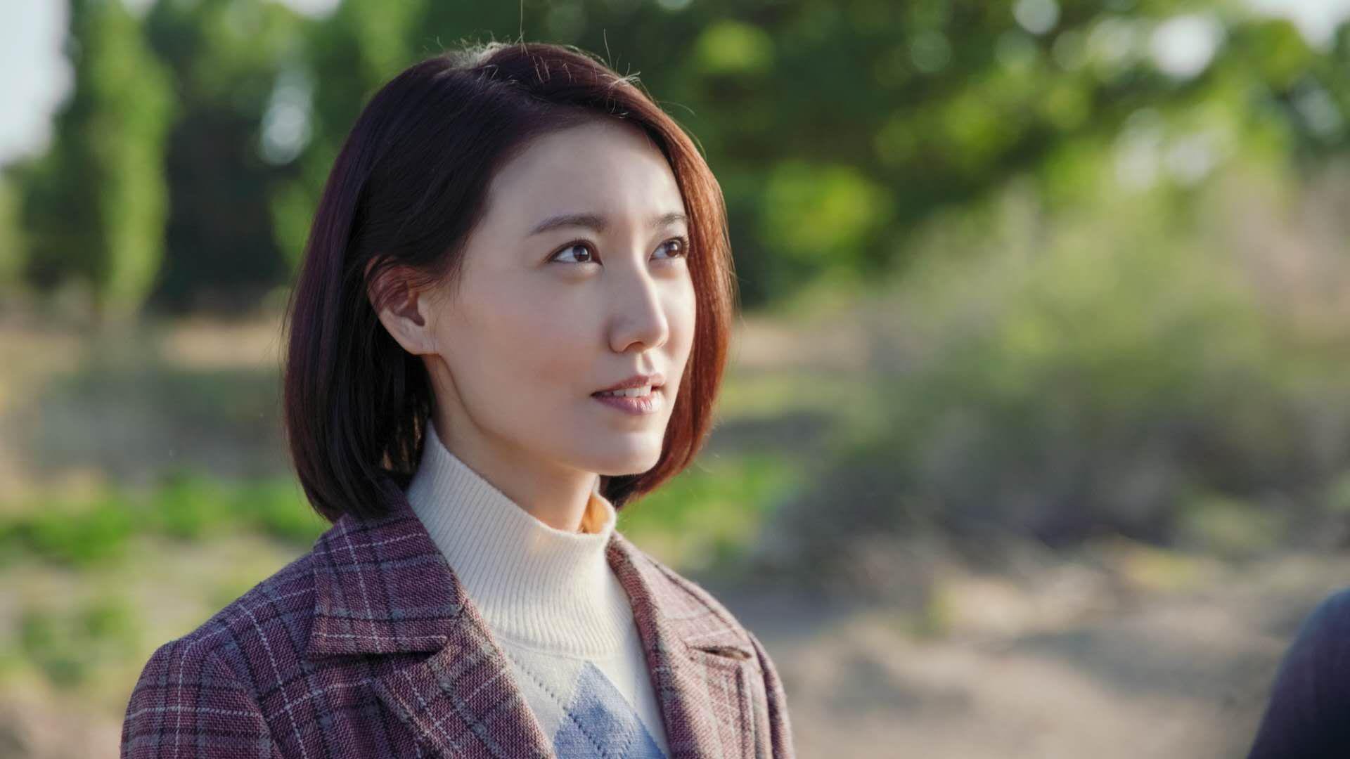 川崎前锋队长续约成功,川崎前锋队标