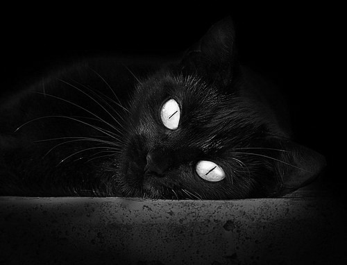 川崎前锋防守端表现稳固，川崎前锋的主力