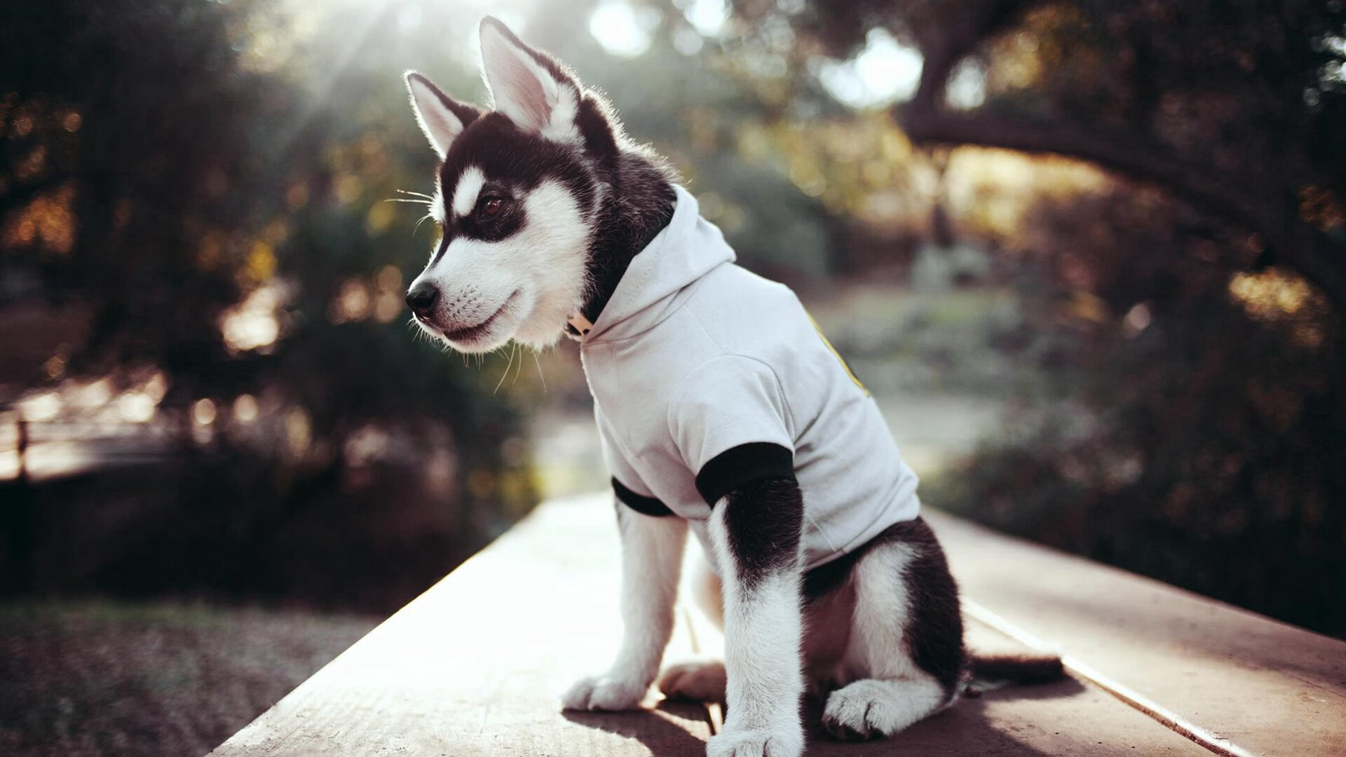 kaiyun网站-川崎前锋防线表现持续提升，川崎前锋集锦