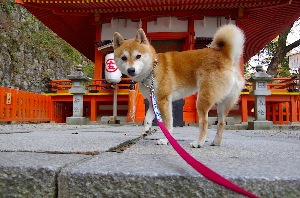 普拉提课程在企业员工健康管理中应用广泛,普拉提培训的课程介绍
