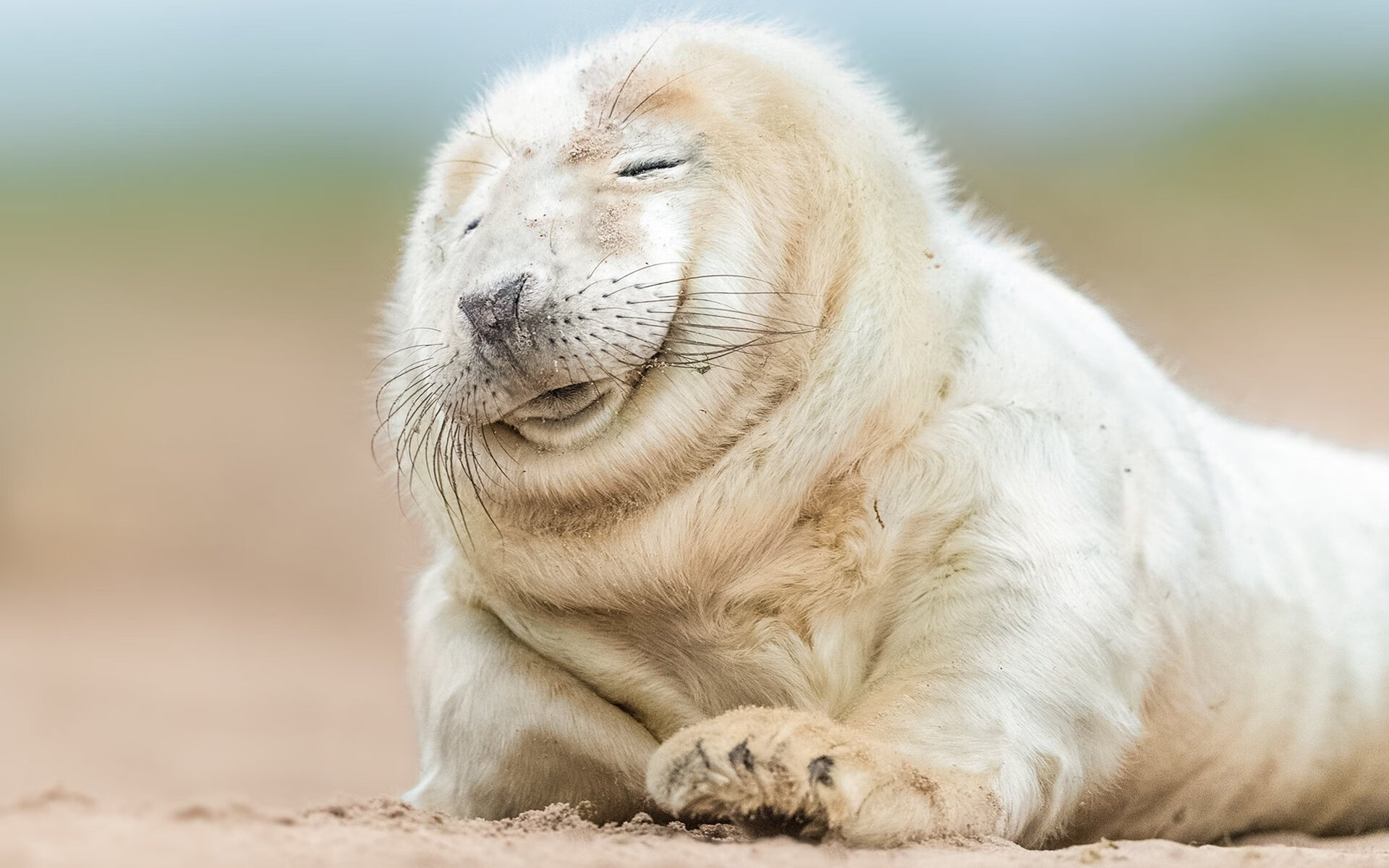 波尔多客场击败尼姆队,取得连胜,波尔多球队比赛结果