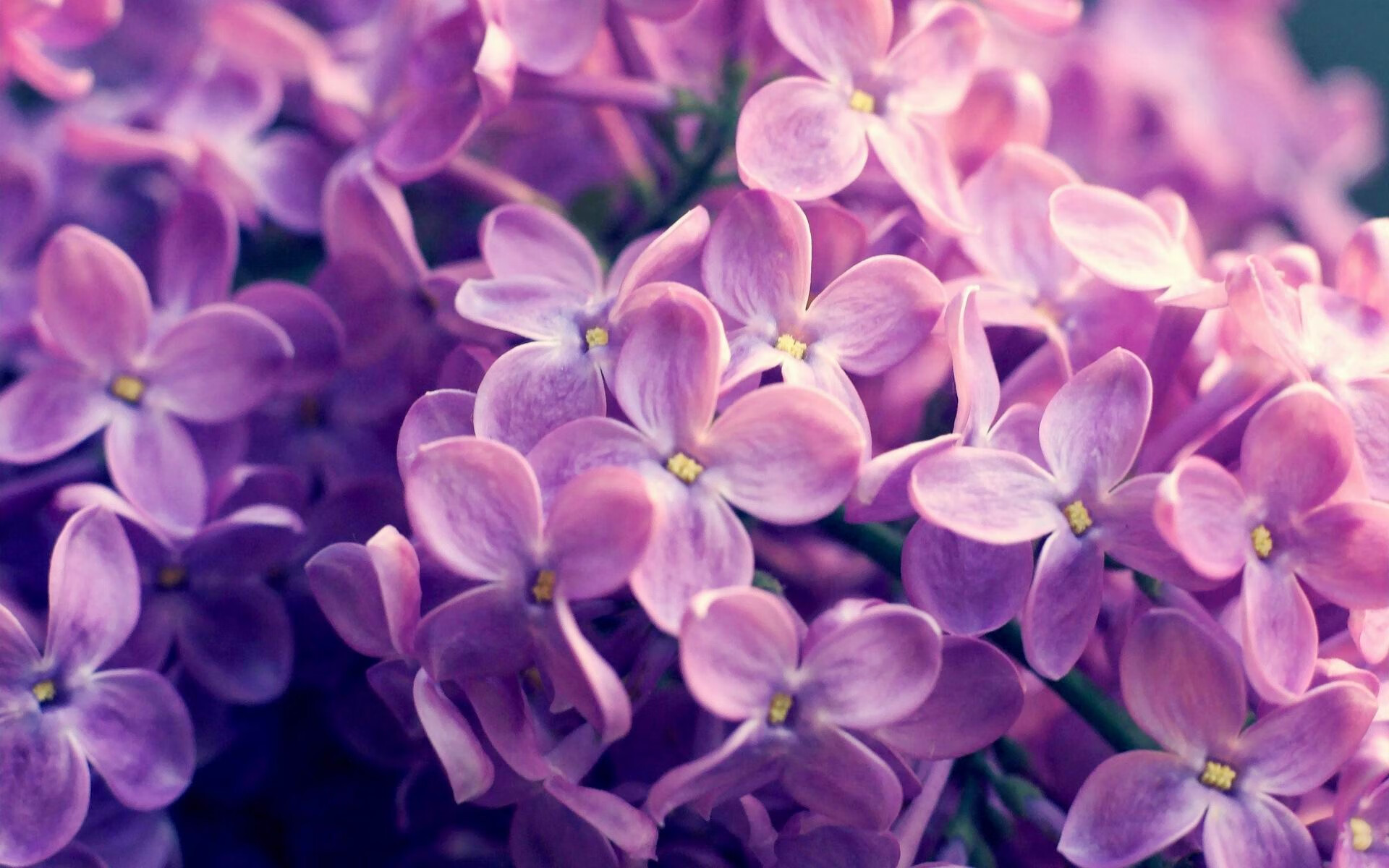 赛事安全保障措施加强,赛事保障工作