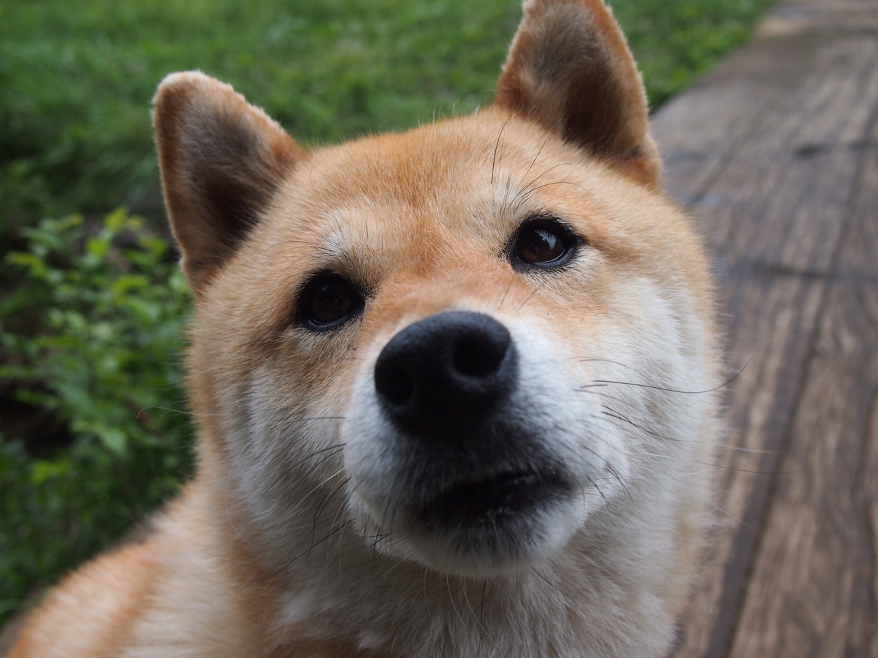 开云网页版-阿根廷男足热身赛完胜智利，梅西破门状态火热，阿根廷男足男篮金牌