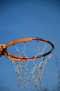 开云·体育官网APP下载-NBA球队球员培养规划设计，nba对球员的要求是什么