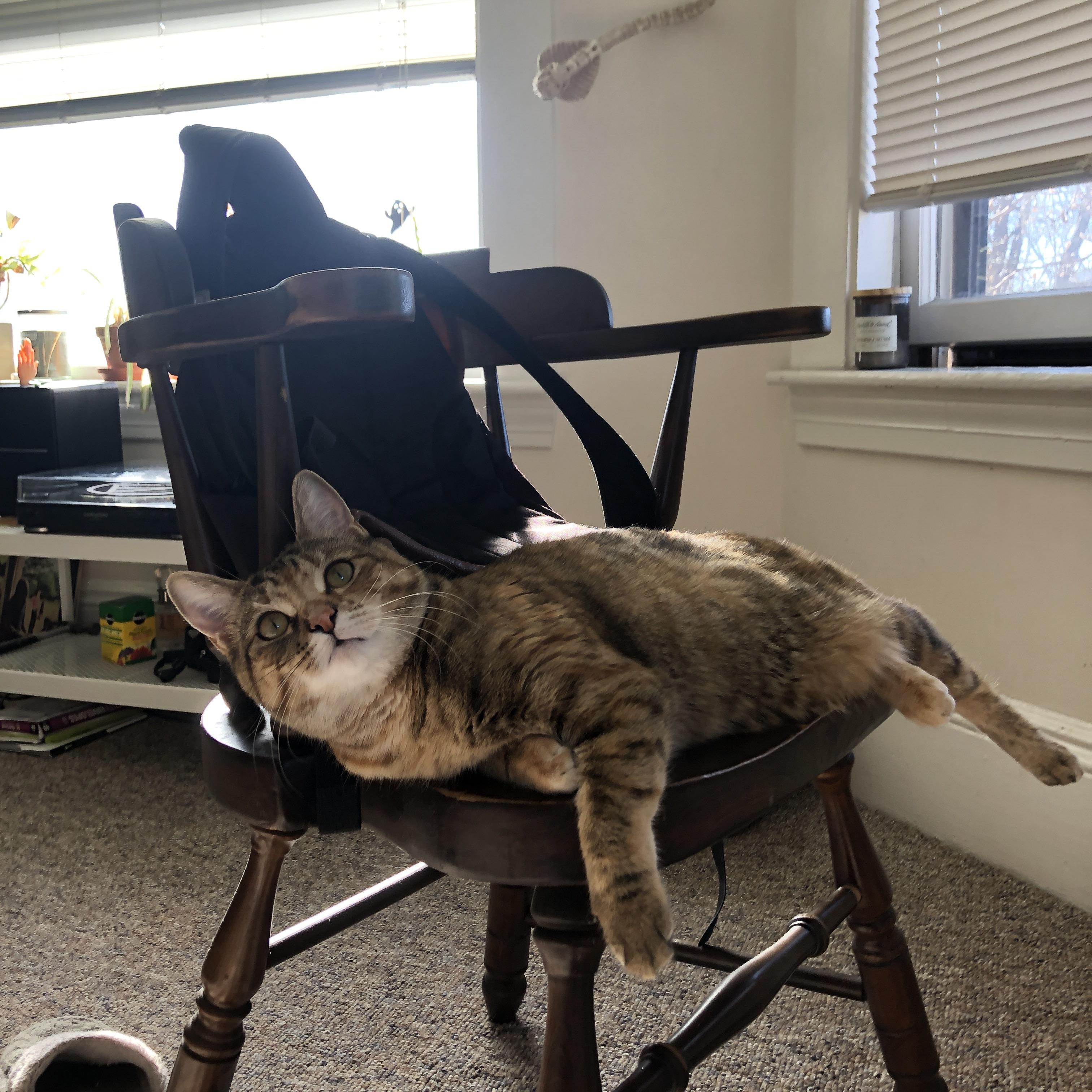 世界台球联赛中国队勇夺团体亚军,世界台球联赛中国队勇夺团体亚军是谁