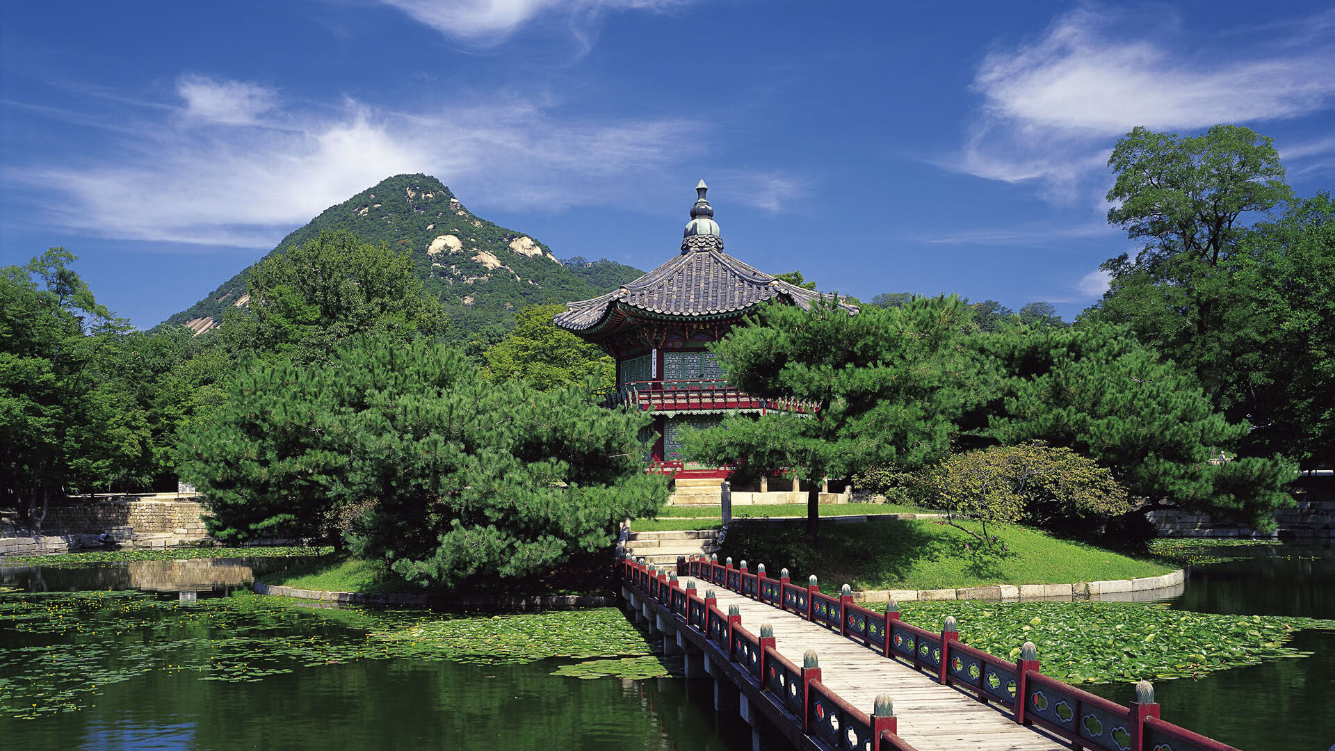 “室内福乐球，冠军之争悬念重重！”