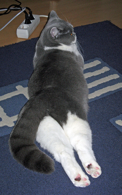 “高新区全民健身馆:壁球竞技,极速对决让你眼花缭乱!”