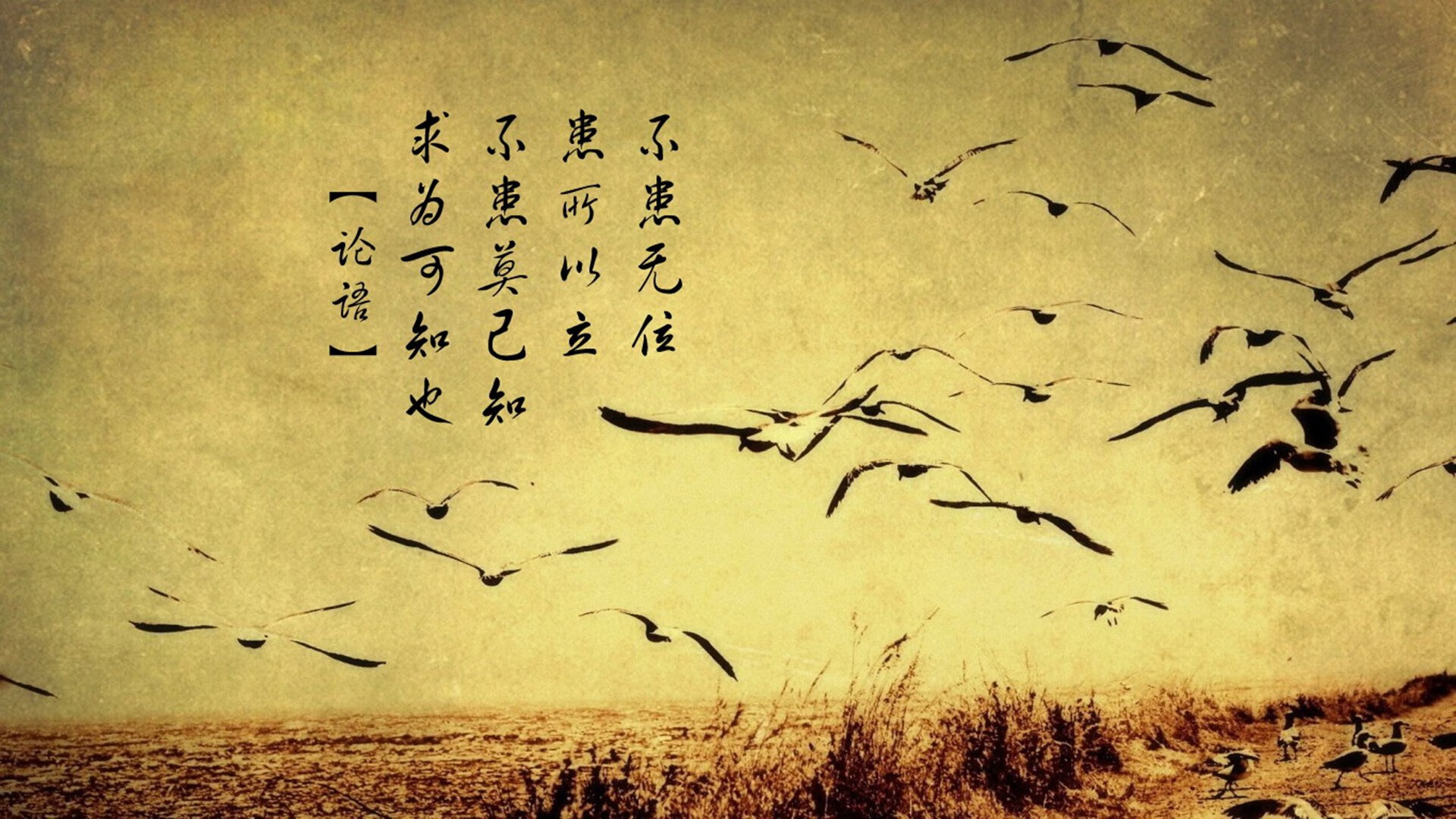 亚冠联赛国家队战平 球员心理素质成为焦点，亚冠水平