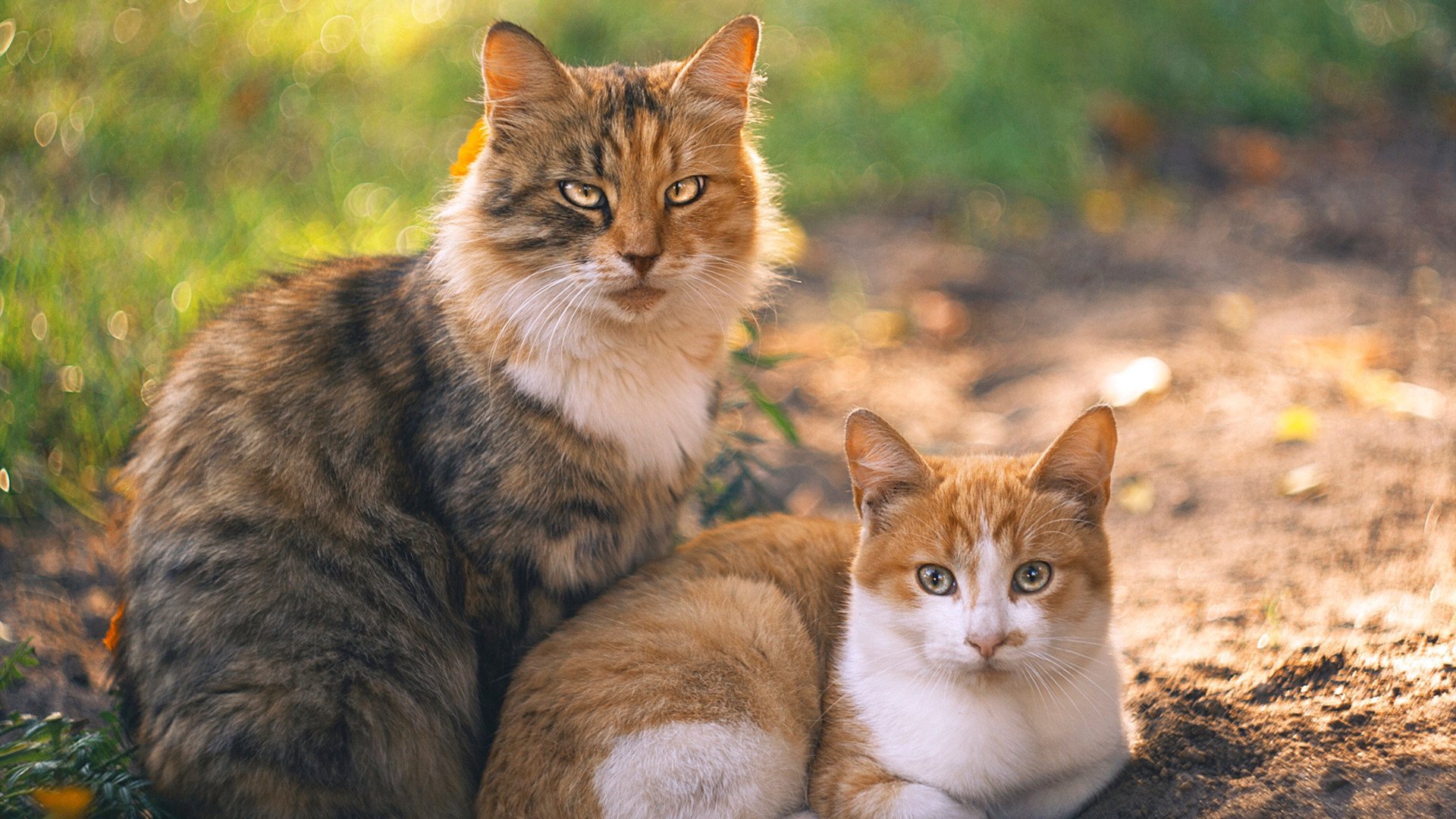 全民健身摄影作品展览走进体育馆大厅,体育运动摄影作品展