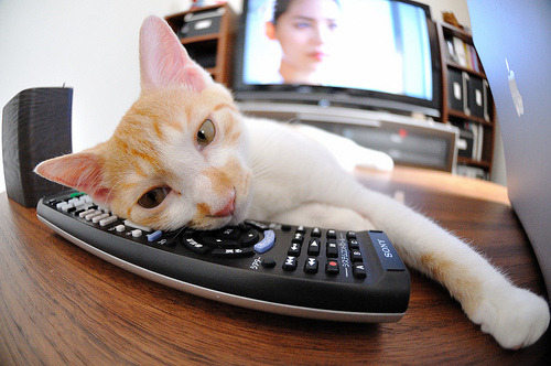 开云·体育官方网站入口-女子橄榄球大放异彩，英格兰队领跑，橄榄球 女子