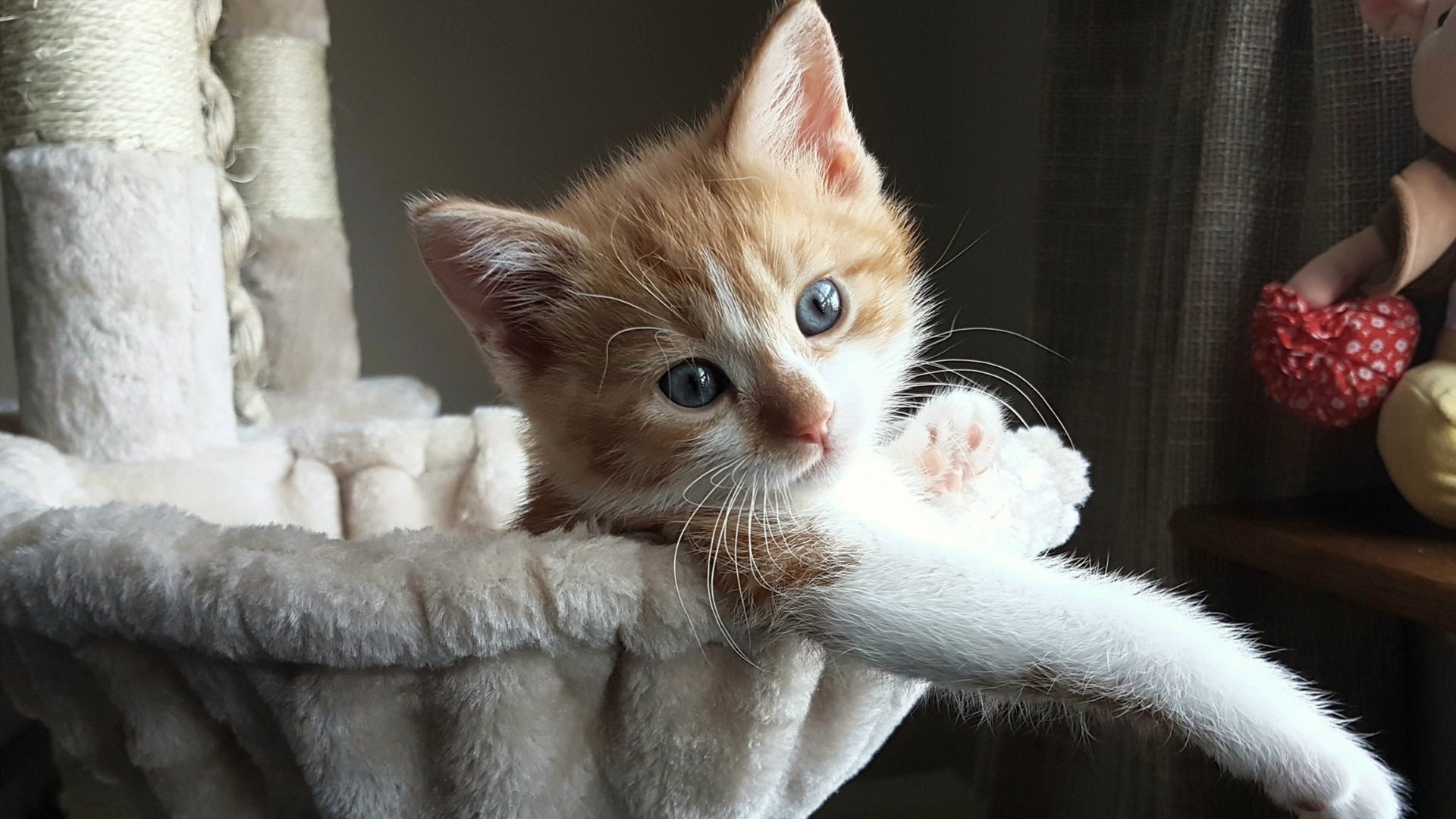 女子足球联赛后防线表现稳定提升,女子足球球门