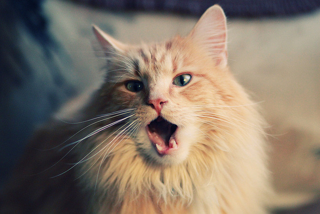 开云体育网页版入口-韩国队防守升级，亚洲赛场再现硬汉风格，韩国队打法